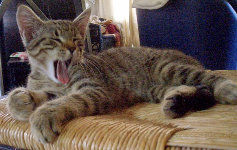 CIMG1598r.jpg - Grosse fatigue d'Arthur .