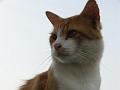 KIF_0442