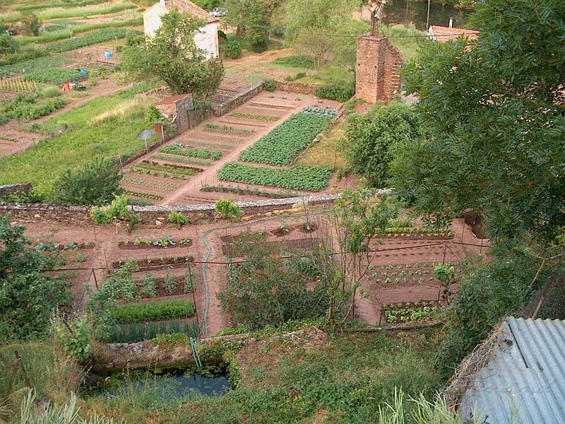 IM005892.JPG - Petits jardins potagers de Camarès .Aveyron