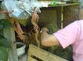 DSC00232a